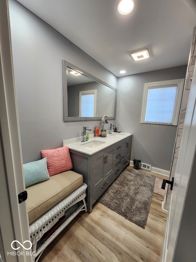 bathroom with hardwood / wood-style floors, vanity, and a healthy amount of sunlight