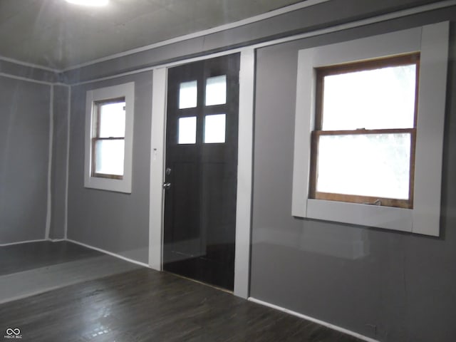 entrance foyer featuring dark hardwood / wood-style flooring