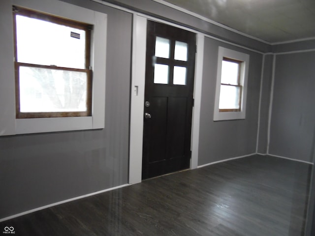 entrance foyer featuring dark hardwood / wood-style floors