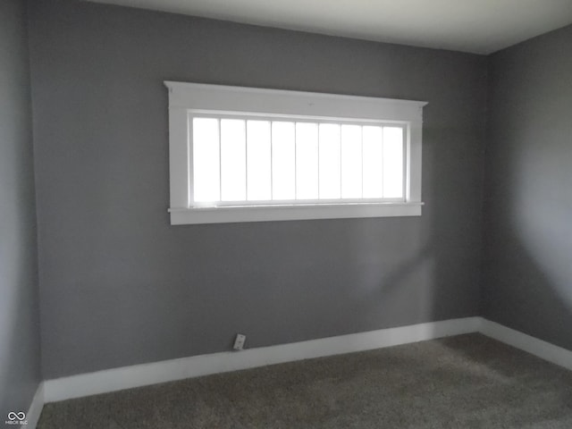 empty room with carpet flooring and a wealth of natural light