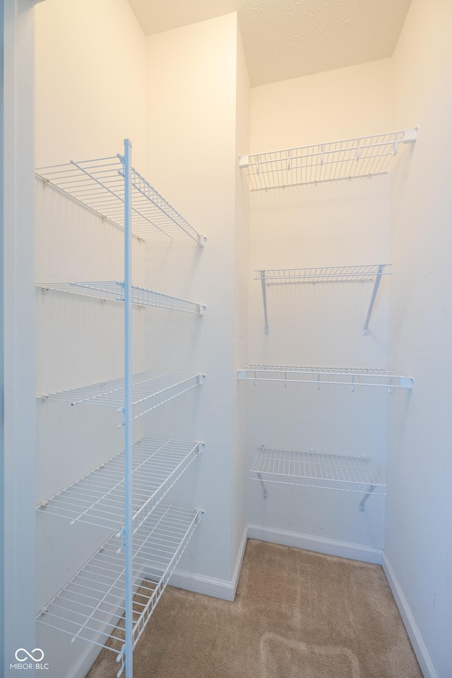 walk in closet featuring carpet floors