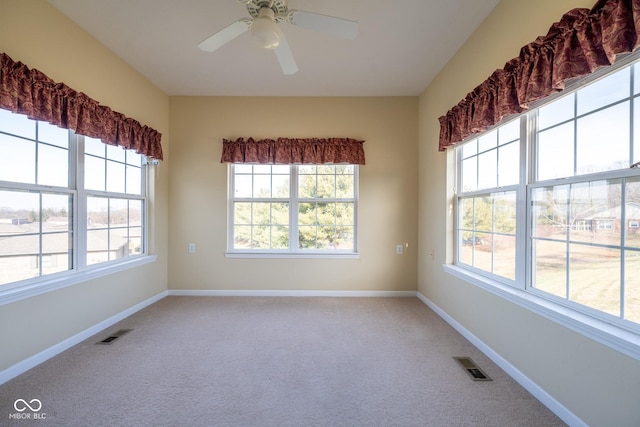 spare room with ceiling fan and carpet flooring