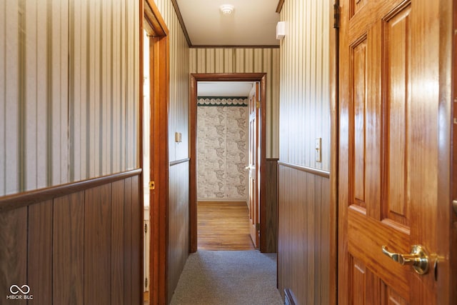 hallway with carpet floors and ornamental molding