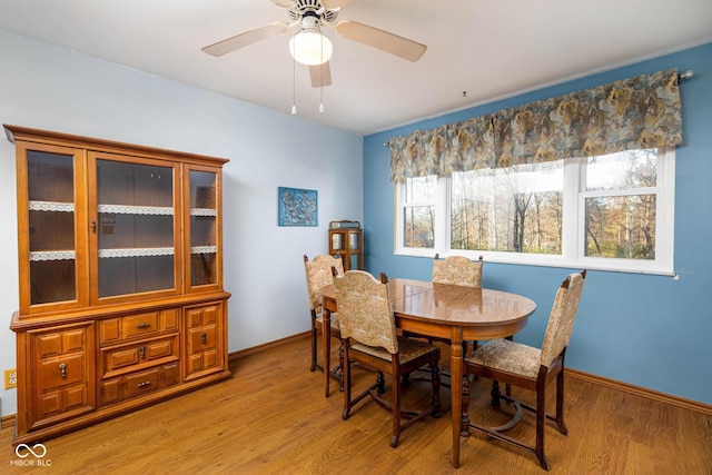 dining room featuring ceiling fan and light hardwood / wood-style floors