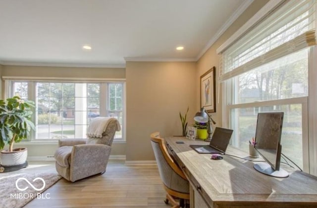 office space featuring light hardwood / wood-style floors and ornamental molding