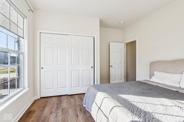 bedroom featuring wood-type flooring and a closet