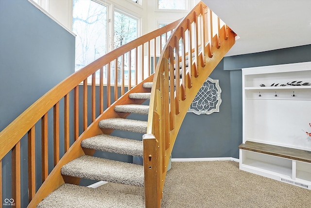 stairs featuring carpet floors