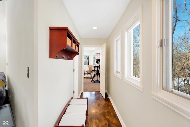 hallway featuring dark wood-type flooring and plenty of natural light