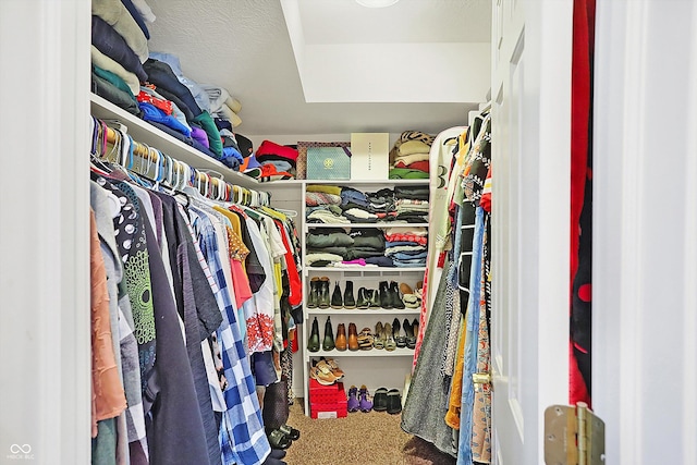 spacious closet with carpet