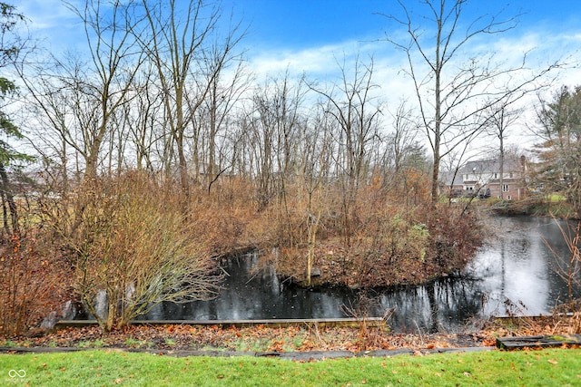 view of water feature