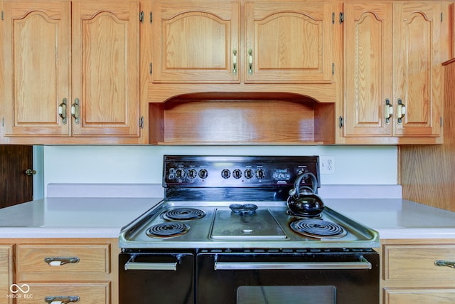 kitchen featuring black / electric stove and light brown cabinets