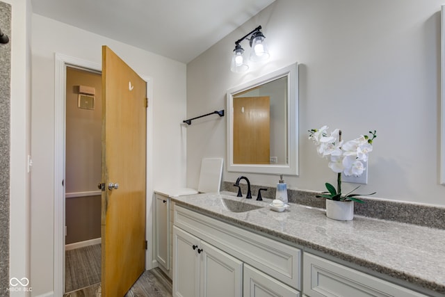 bathroom featuring vanity and wood-type flooring