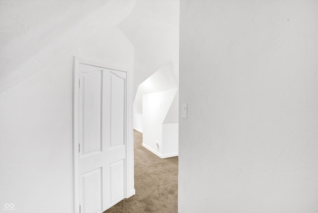 corridor with dark carpet