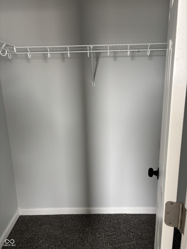 1433 Wigwam Ln, Martinsville, IN 46151 - spacious closet with dark carpet
