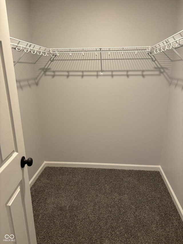 1433 Wigwam Ln, Martinsville, IN 46151 - walk in closet with carpet floors