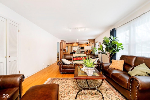 living room with rail lighting and light hardwood / wood-style flooring