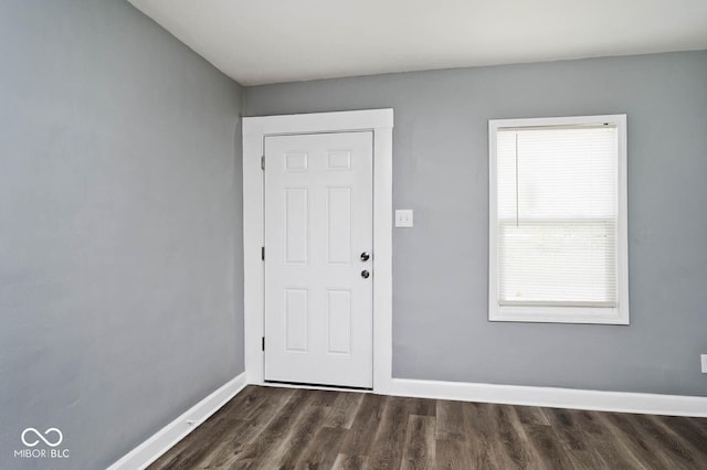 foyer featuring dark wood-type flooring