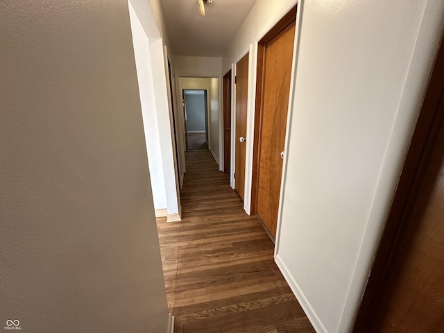 hall featuring dark hardwood / wood-style floors