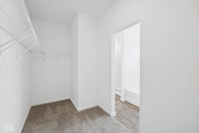 spacious closet with carpet floors