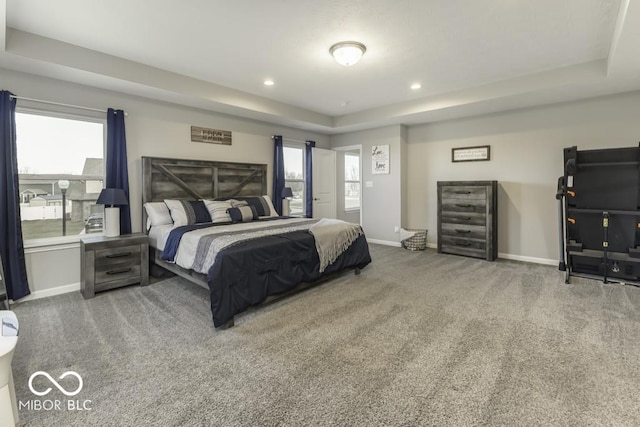 carpeted bedroom with a raised ceiling