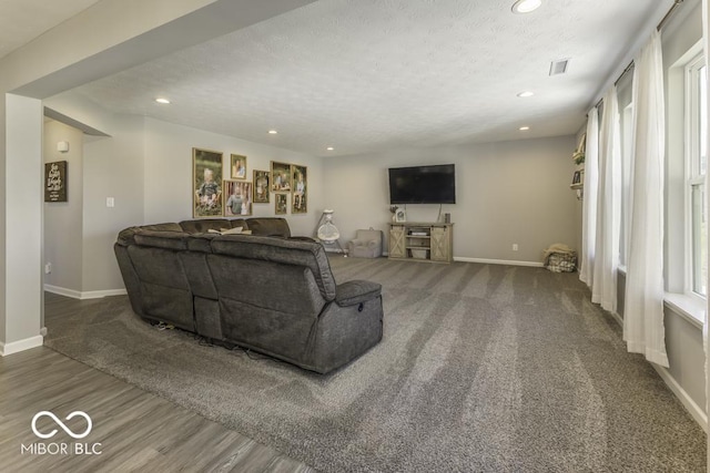 living room featuring dark hardwood / wood-style flooring and a textured ceiling