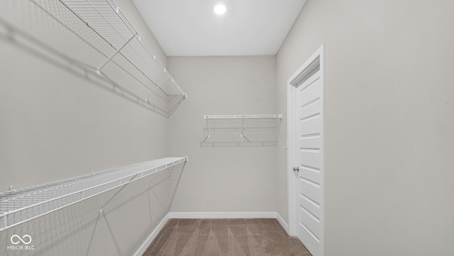 spacious closet with carpet flooring