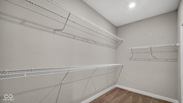 spacious closet with carpet