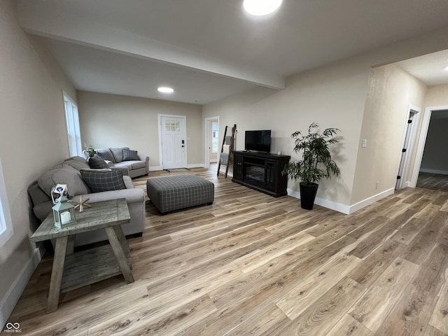 living room featuring hardwood / wood-style flooring