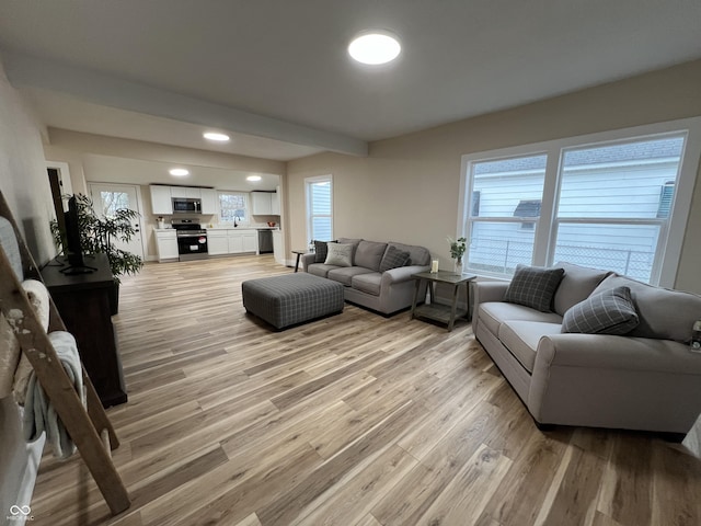 living room featuring light hardwood / wood-style floors