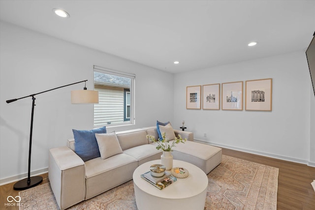 living room featuring wood-type flooring