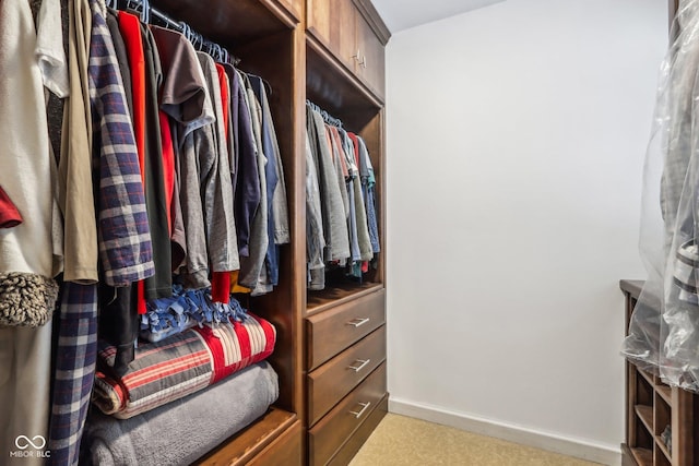 view of spacious closet