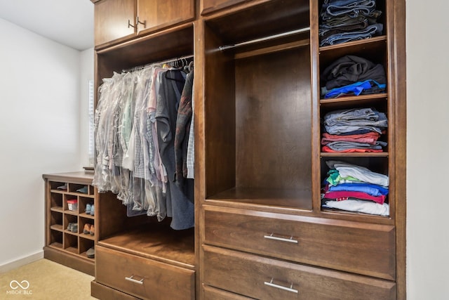 spacious closet with carpet floors