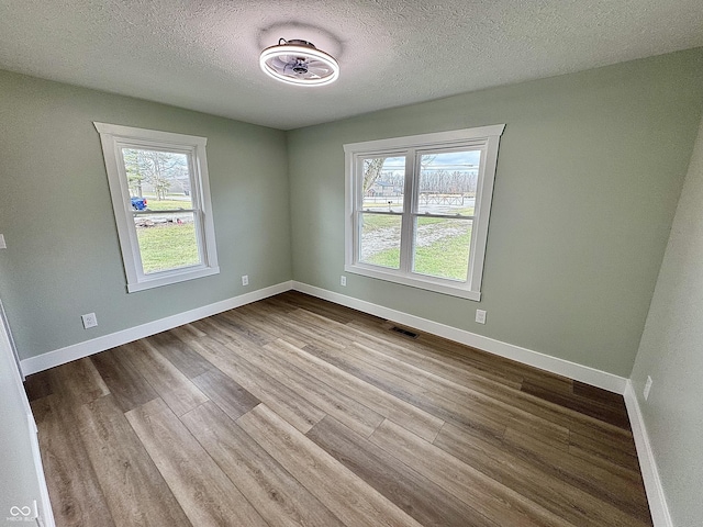 empty room with a wealth of natural light, light hardwood / wood-style floors, and a textured ceiling