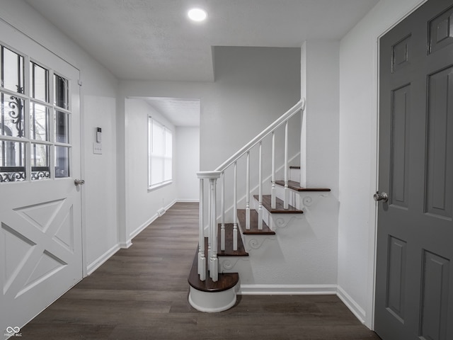 foyer with dark wood-type flooring