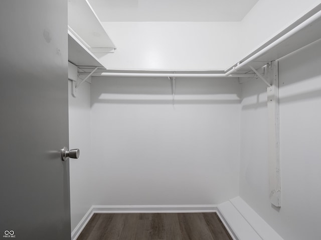 walk in closet featuring dark wood-type flooring