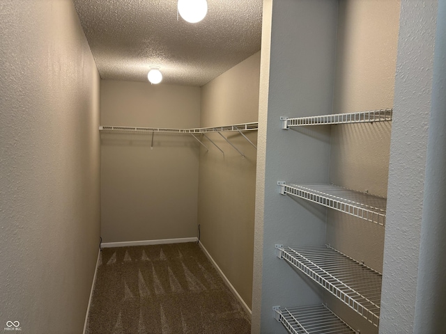 walk in closet with dark carpet