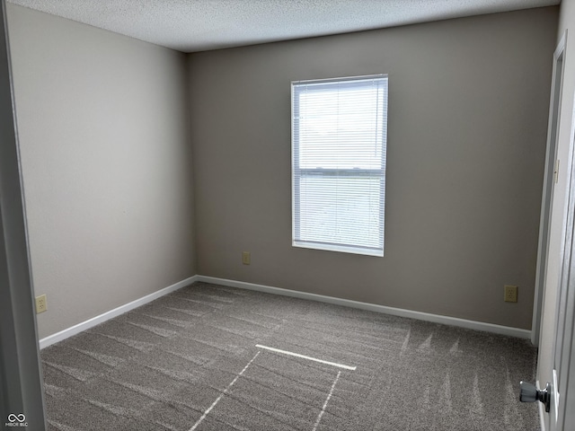 empty room featuring carpet and a textured ceiling