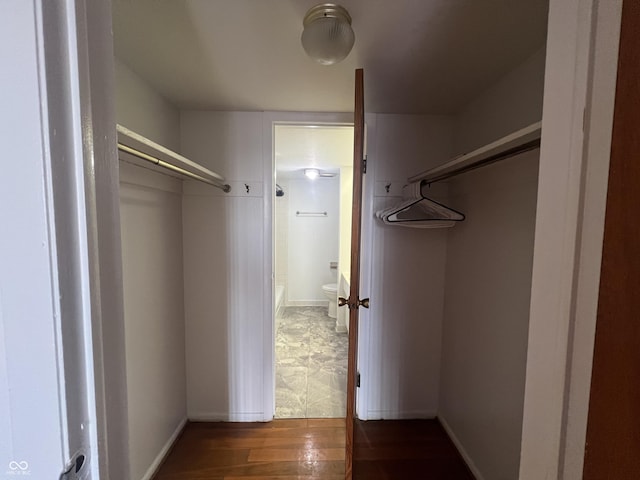 spacious closet featuring dark hardwood / wood-style flooring