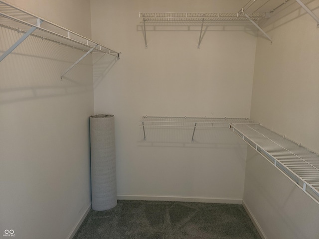 spacious closet with dark carpet