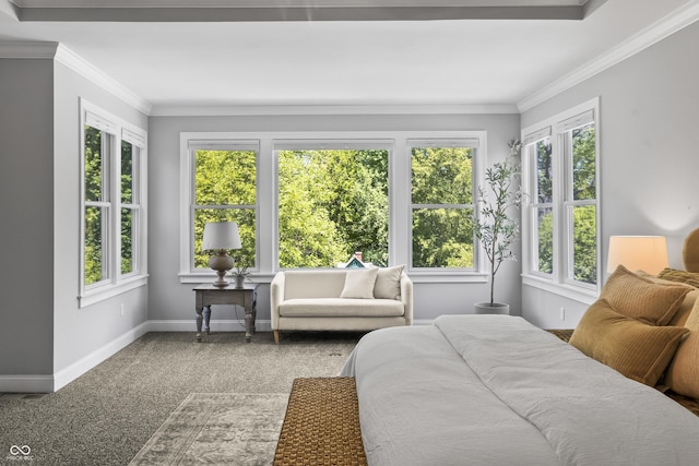 78 Chatham Brook Dr, Westfield, IN 46074 - bedroom with multiple windows, baseboards, and crown molding