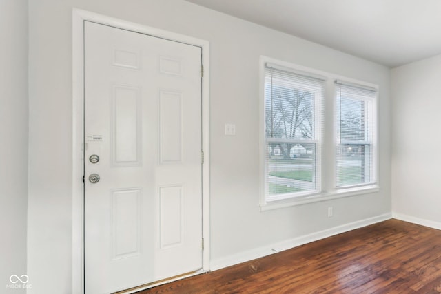 foyer entrance with dark wood-type flooring