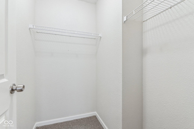 walk in closet featuring carpet