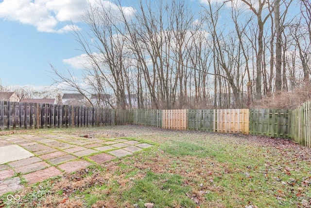 view of yard featuring a patio area