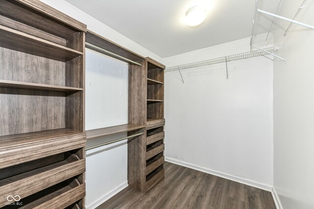 walk in closet featuring dark hardwood / wood-style floors