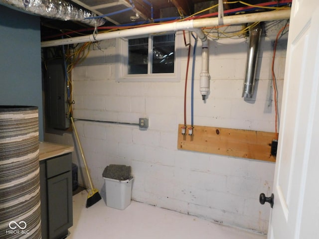 basement with electric panel