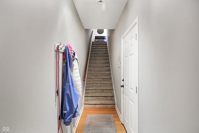 staircase featuring wood-type flooring