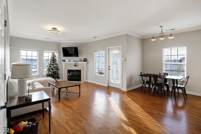 living room featuring wood-type flooring and ornamental molding