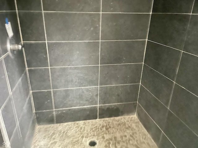 interior details featuring walk in shower