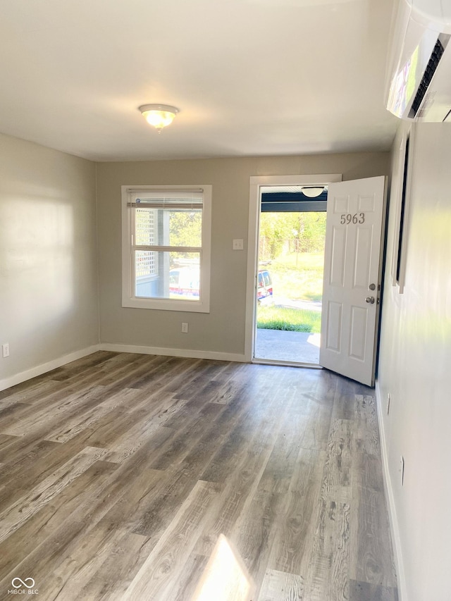 foyer with hardwood / wood-style flooring