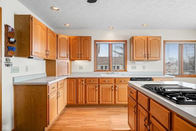 kitchen with a textured ceiling, light wood-type flooring, sink, and gas cooktop